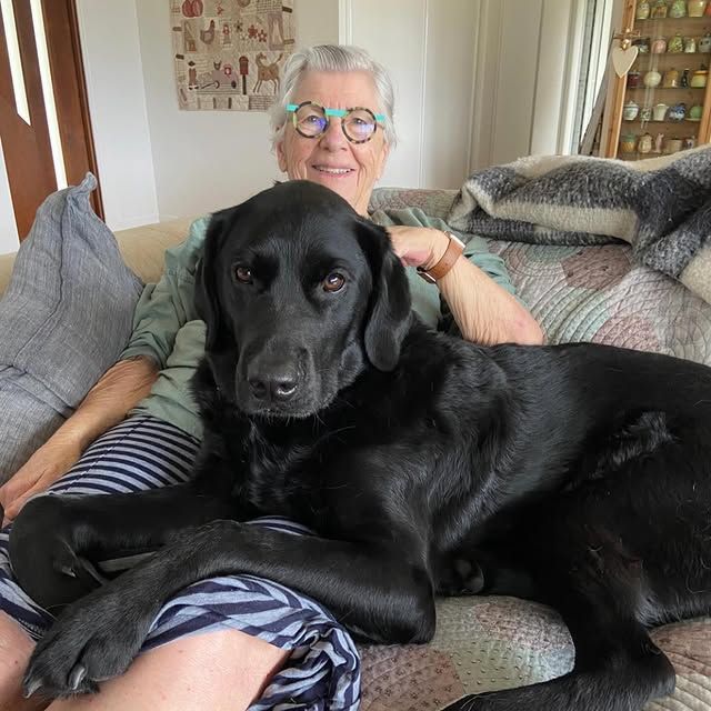 Don't Wait Until It's